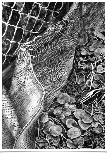 Strawberry Patch
pencil on paper
29 x 41 cm